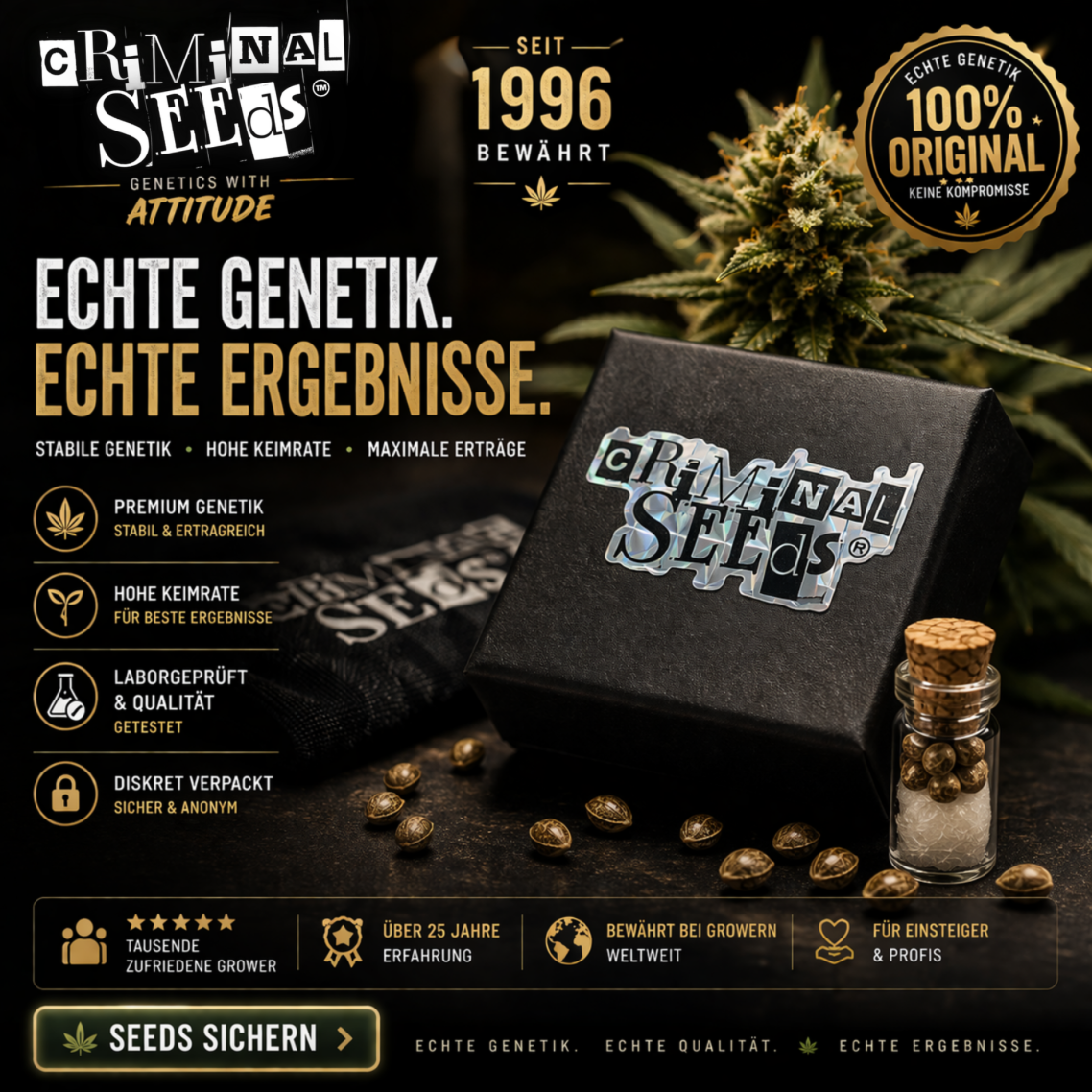 SEEDS HIER KLICKEN "SEEDS HIER KLICKEN"