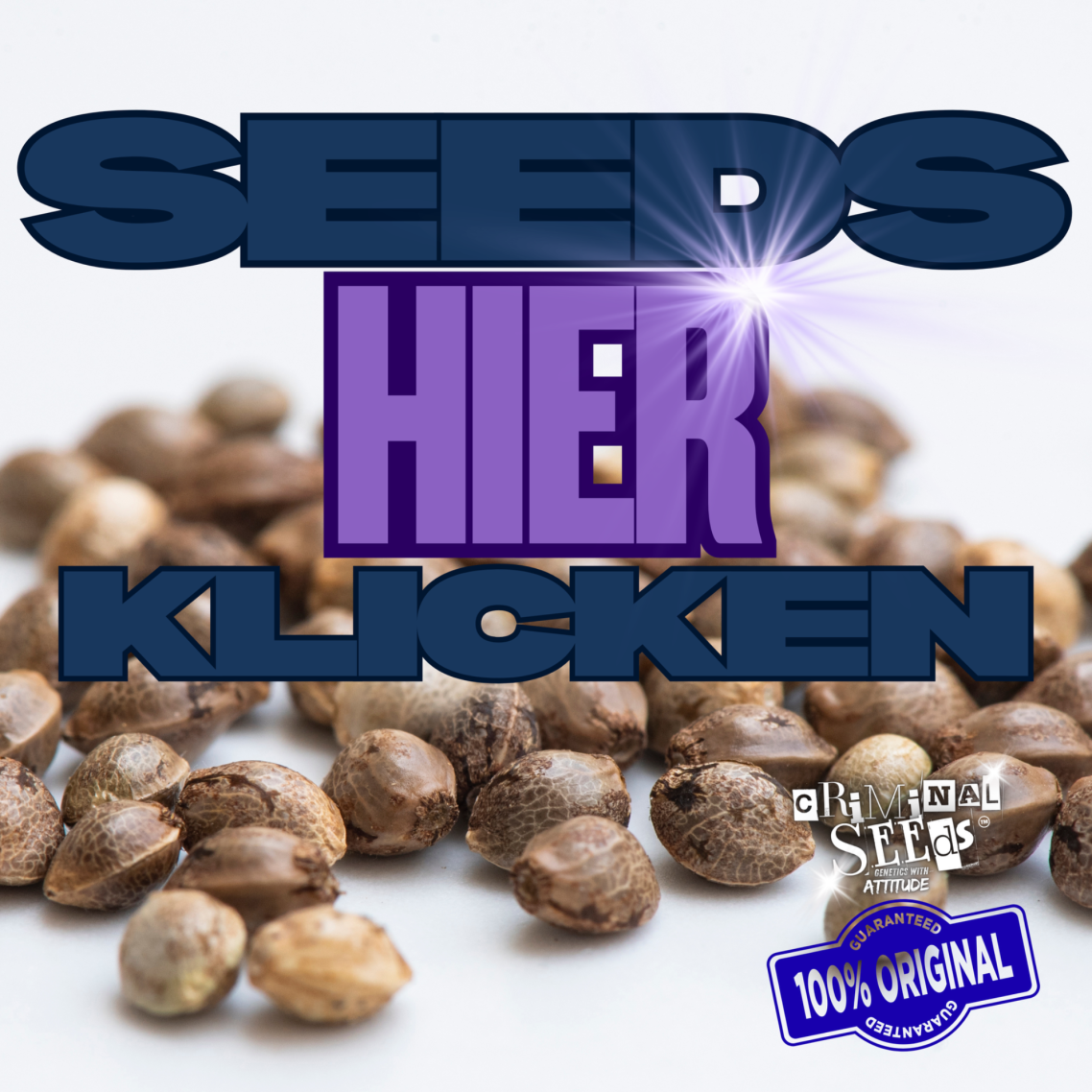 SEEDS HIER KLICKEN "SEEDS HIER KLICKEN"